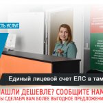 excise center, excise customs center, electronic declaration excise center, specialized excise center,