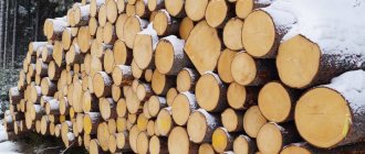 Experts saw a loophole in the project of the Ministry of Industry and Trade on quotas for the export of round timber