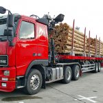 How to obtain an accompanying document for wood transportation